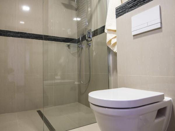 Penzion Janová : photo 2 de la chambre grande chambre double de luxe avec douche