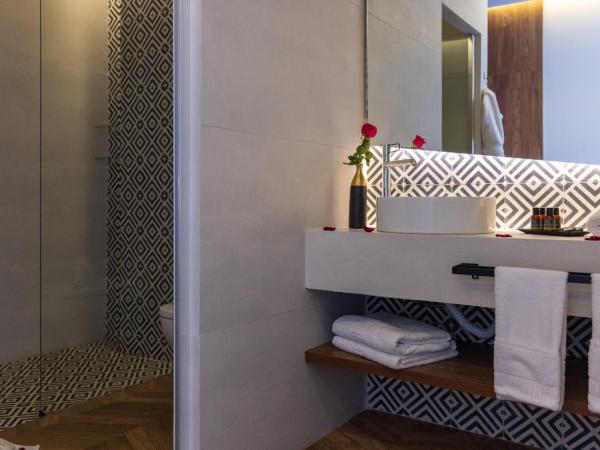 DIAGONAL HOTEL : photo 9 de la chambre chambre double standard