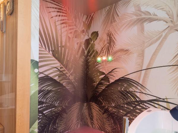 Hotel Mia Cara & Spa : photo 9 de la chambre chambre double ou lits jumeaux deluxe avec spa privé