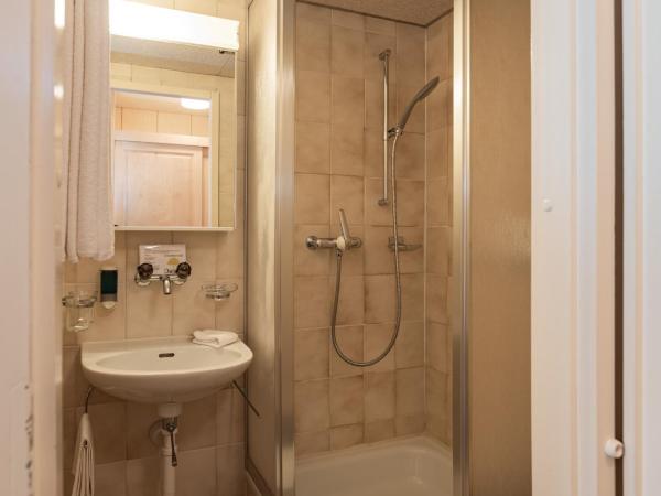 Hotel Bellevue - Traditional Swiss Hideaway : photo 4 de la chambre chambre simple sans balcon - côté nord