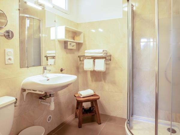 Hotel La Bienvenue : photo 4 de la chambre chambre - vue sur cour