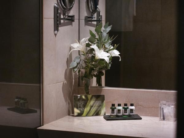 Hotel Madero Buenos Aires : photo 6 de la chambre chambre double ou lits jumeaux supérieure