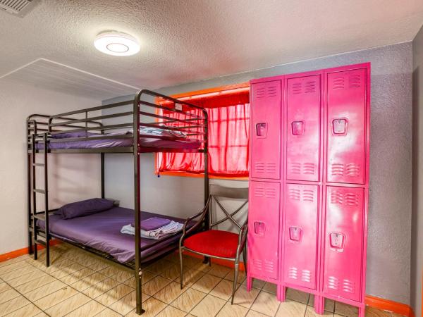 Sin City Hostel : photo 9 de la chambre lit dans dortoir pour femmes de 6 lits