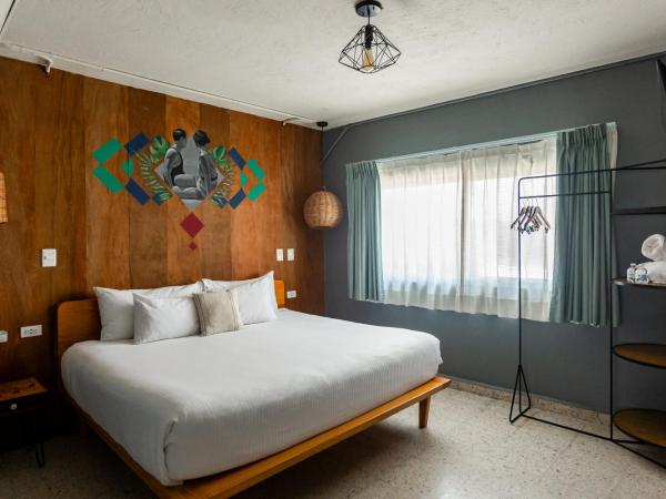 Selina Cancun Downtown : photo 1 de la chambre studio avec kitchenette