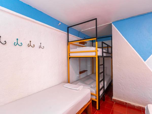 Selina Cancun Downtown : photo 4 de la chambre standard room (quad), private bathroom 