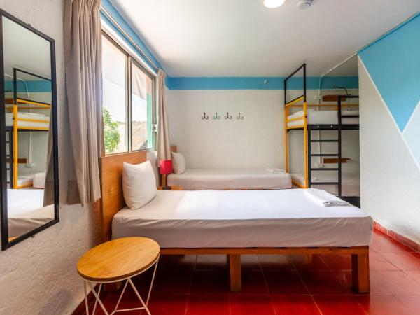 Selina Cancun Downtown : photo 2 de la chambre standard room (quad), private bathroom 