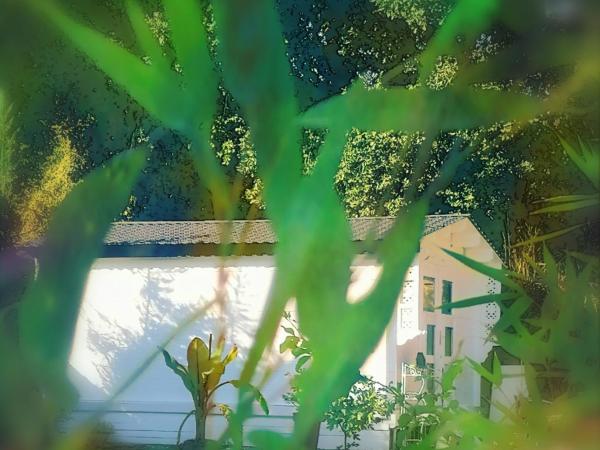 chalet sous le chant du chêne : photo 2 de la chambre chambre double - vue sur piscine