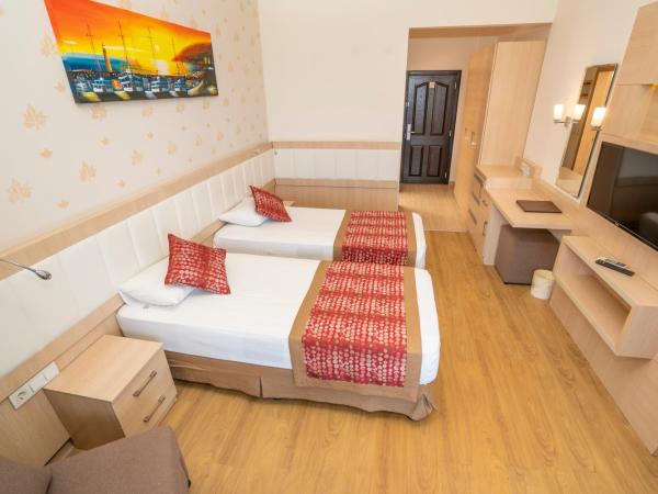 Gardenia Hotel : photo 4 de la chambre chambre simple standard