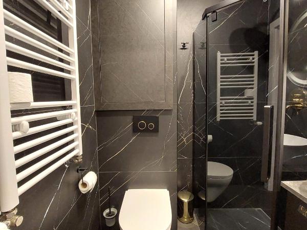 Royal Smart Apartments Cracow : photo 4 de la chambre chambre double deluxe avec douche