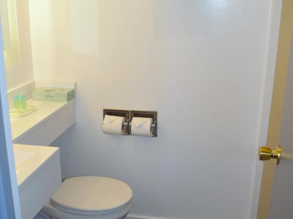 SF Central Hotel : photo 3 de la chambre chambre double supérieure