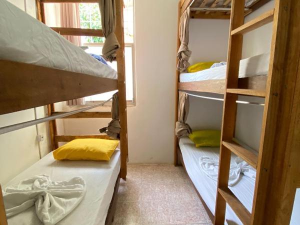 Hostel Sol da Barra : photo 8 de la chambre lits superposés dans dortoir masculin 