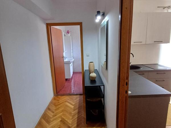 Apartments and Rooms Irena : photo 9 de la chambre appartement 1 chambre confort avec balcon