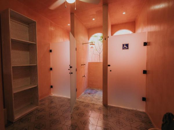 Casa Amate 61 Boutique Hostel : photo 4 de la chambre lit simple dans dortoir pour femmes