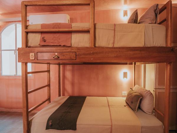 Casa Amate 61 Boutique Hostel : photo 1 de la chambre lit dans dortoir mixte de 6 lits