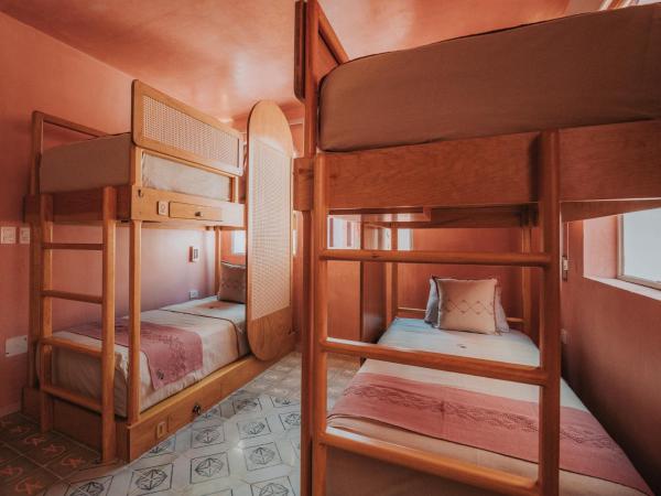 Casa Amate 61 Boutique Hostel : photo 2 de la chambre lit dans dortoir pour femmes de 6 lits
