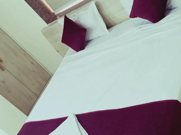 Hotel SILVER INN : photo 7 de la chambre chambre double deluxe