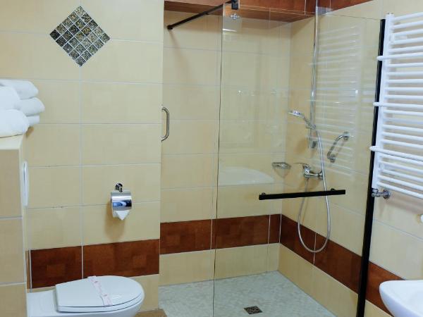 Hotel Rezydencja AS & Spa-Najwyżej w Karpaczu : photo 1 de la chambre chambre double avec terrasse