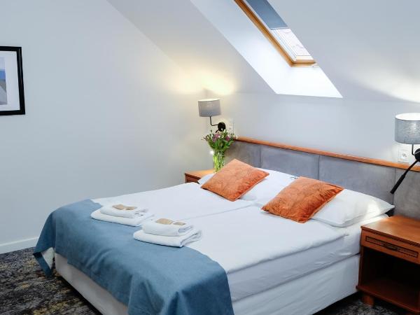 Hotel Rezydencja AS & Spa-Najwyżej w Karpaczu : photo 1 de la chambre chambre triple