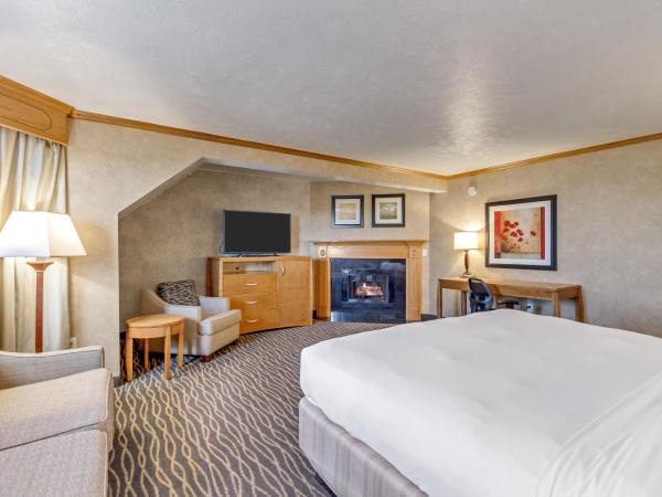 Radisson Hotel Salt Lake City Airport : photo 3 de la chambre chambre lit king-size affaires