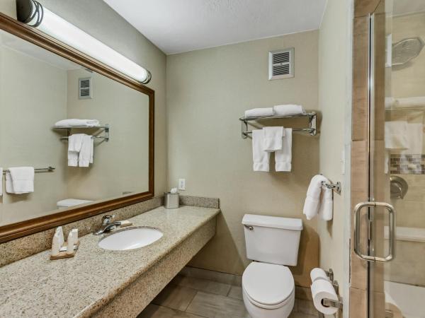 Radisson Hotel Salt Lake City Airport : photo 2 de la chambre chambre exécutive premium lit king-size - non-fumeurs