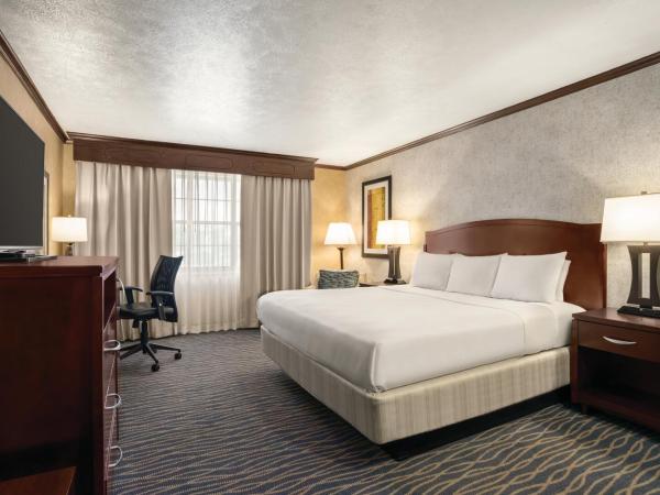Radisson Hotel Salt Lake City Airport : photo 4 de la chambre chambre lit king-size - non-fumeurs