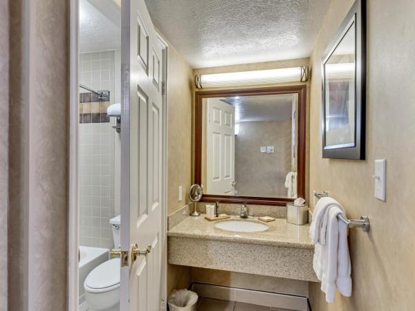 Radisson Hotel Salt Lake City Airport : photo 5 de la chambre chambre lit king-size - non-fumeurs