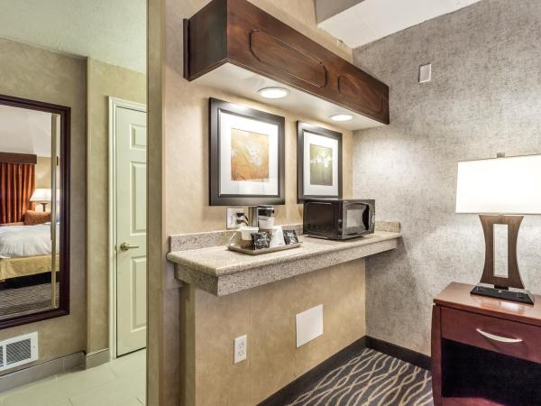 Radisson Hotel Salt Lake City Airport : photo 6 de la chambre chambre lit king-size - non-fumeurs