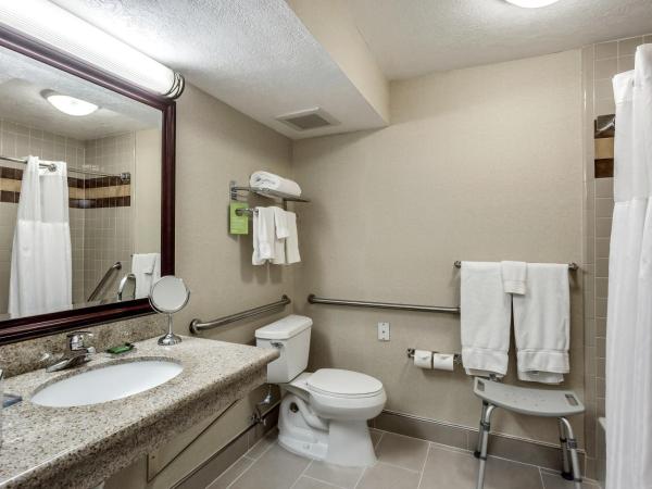 Radisson Hotel Salt Lake City Airport : photo 5 de la chambre chambre lit king-size pour personnes à mobilité réduite - non-fumeurs