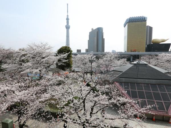 Dormy Inn EXPRESS Asakusa : photo 4 de la chambre chambre lits jumeaux avec lits superposés - non-fumeurs