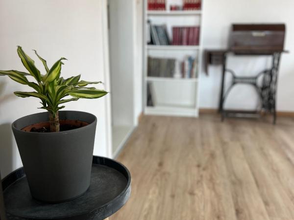 Apartments Romano : photo 4 de la chambre appartement 2 chambres