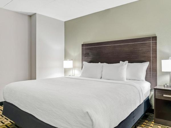 Quality Inn Detroit Downtown : photo 2 de la chambre chambre lit king-size - non-fumeurs