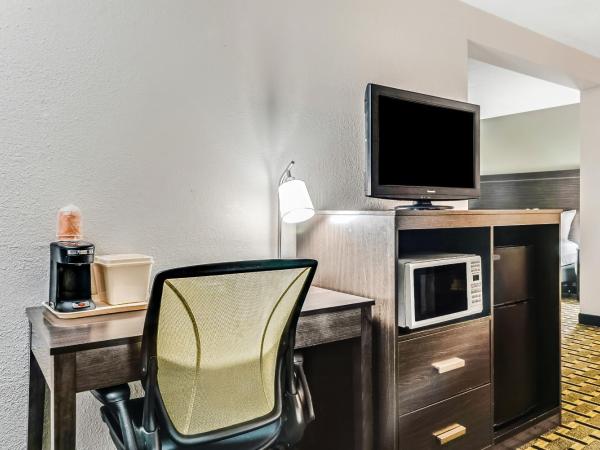Quality Inn Detroit Downtown : photo 7 de la chambre suite king avec 2 lits king-size - non-fumeurs