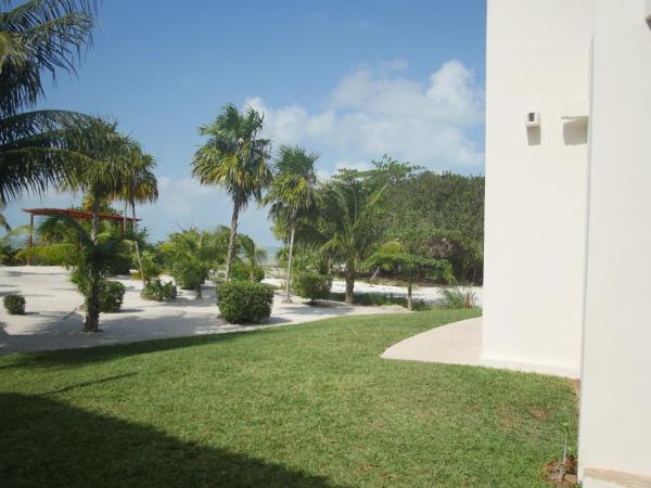Ikarus Costa Mujeres Eco Lodge Sunset View : photo 5 de la chambre studio avec terrasse