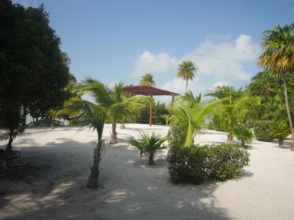 Ikarus Costa Mujeres Eco Lodge Sunset View : photo 7 de la chambre studio avec terrasse