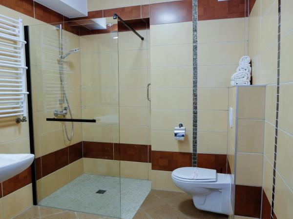 Hotel Rezydencja AS & Spa-Najwyżej w Karpaczu : photo 4 de la chambre chambre double