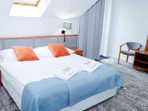 Hotel Rezydencja AS & Spa-Najwyżej w Karpaczu : photo 4 de la chambre chambre double avec balcon