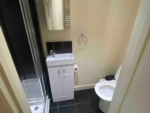 79 Chats : photo 8 de la chambre studio