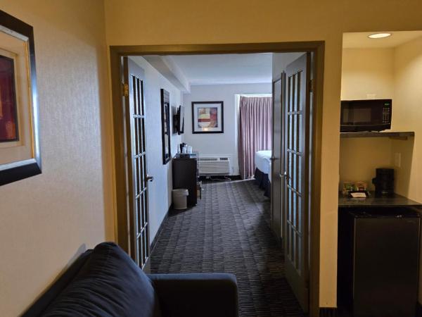 Ramada Plaza by Wyndham Niagara Falls : photo 4 de la chambre suite lit king-size