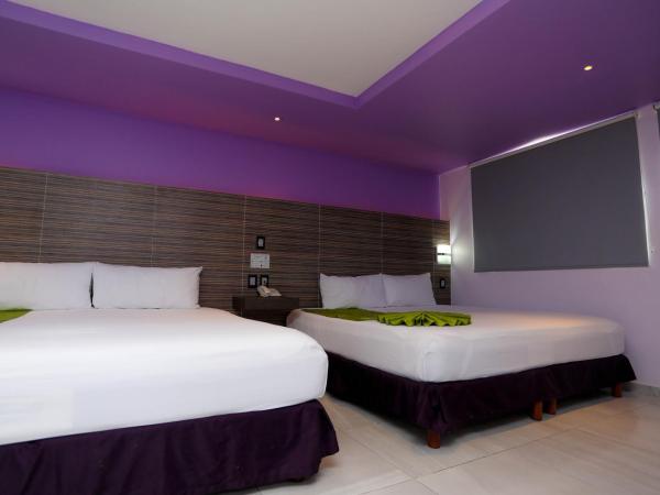 Hotel Kavia : photo 10 de la chambre chambre supérieure avec 2 lits queen-size