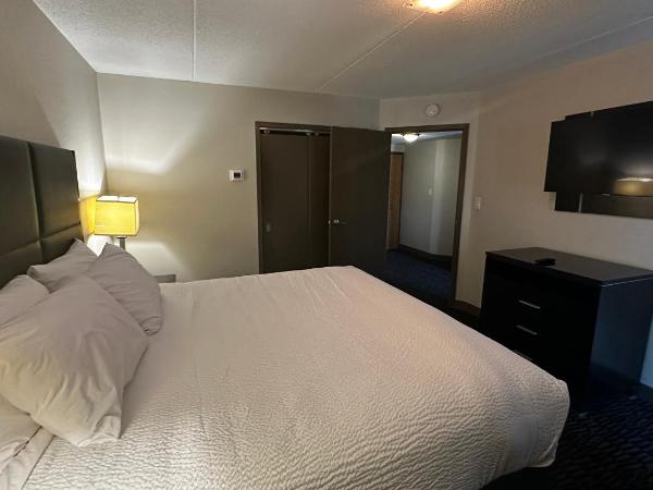 Ramada Plaza by Wyndham Niagara Falls : photo 2 de la chambre suite lit king-size avec jacuzzi