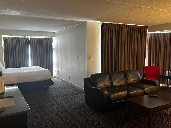 Ramada Plaza by Wyndham Niagara Falls : photo 2 de la chambre suite présidentielle lit king-size