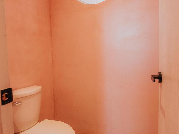 Casa Amate 61 Boutique Hostel : photo 6 de la chambre suite lit king-size