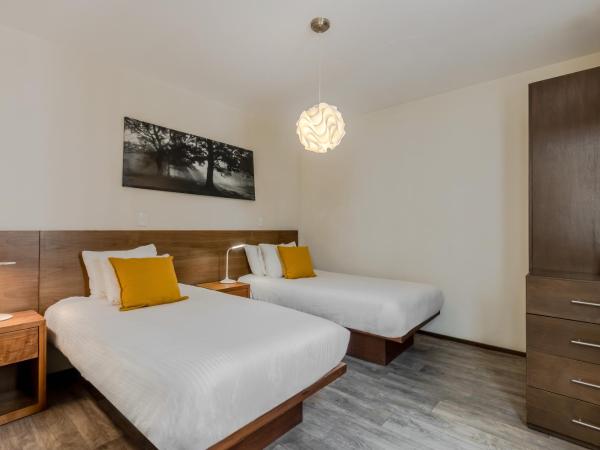 OM 686 URBAN LOFTS Narvarte : photo 5 de la chambre appartement - rez-de-chaussée