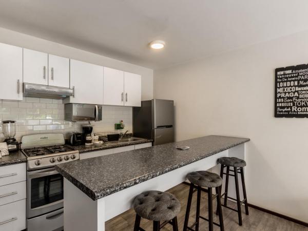 OM 686 URBAN LOFTS Narvarte : photo 3 de la chambre appartement avec terrasse