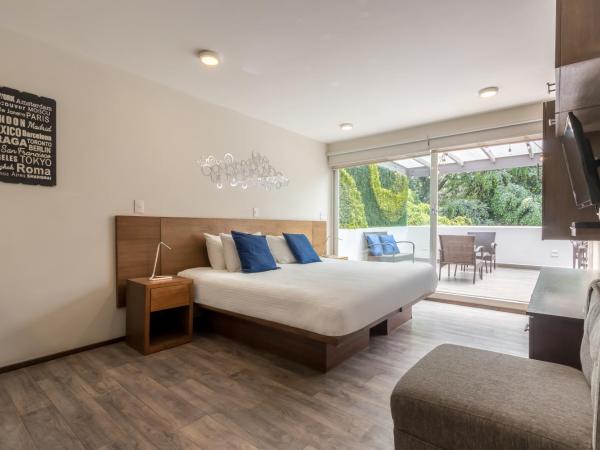 OM 686 URBAN LOFTS Narvarte : photo 4 de la chambre appartement 1 chambre avec terrasse