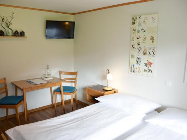 Hotel Garni Hostatt : photo 6 de la chambre chambre double basique