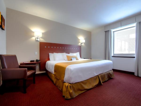Comfort Inn Queretaro Tecnologico : photo 5 de la chambre king room with no view - non smoking