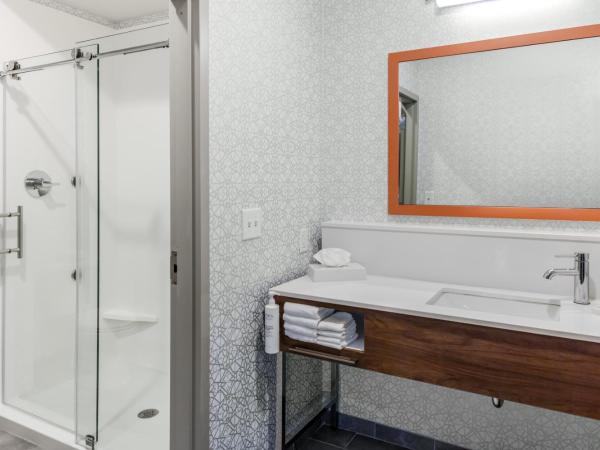 Hampton Inn & Suites Indianapolis West Speedway : photo 10 de la chambre suite studio lit king-size