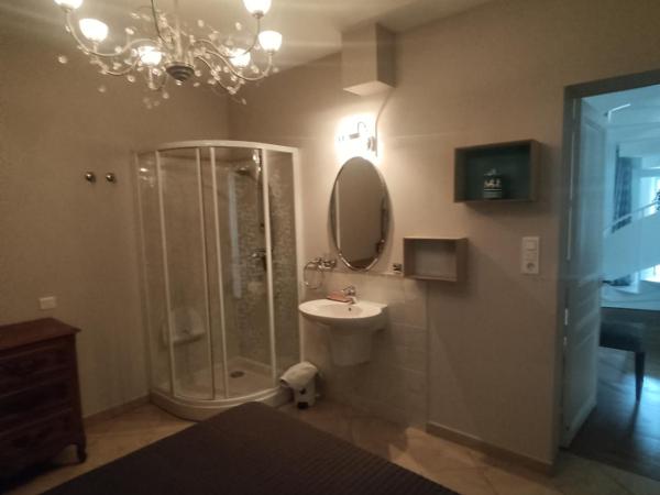 CHAMBRE 1 CALME PROCHE GARE, CENTRE VILLE et FESTIVAL : photo 4 de la chambre chambre double