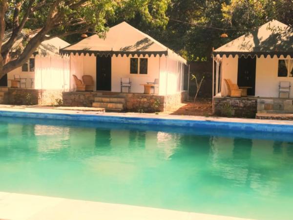 The Chocolate Frog : photo 4 de la chambre tente